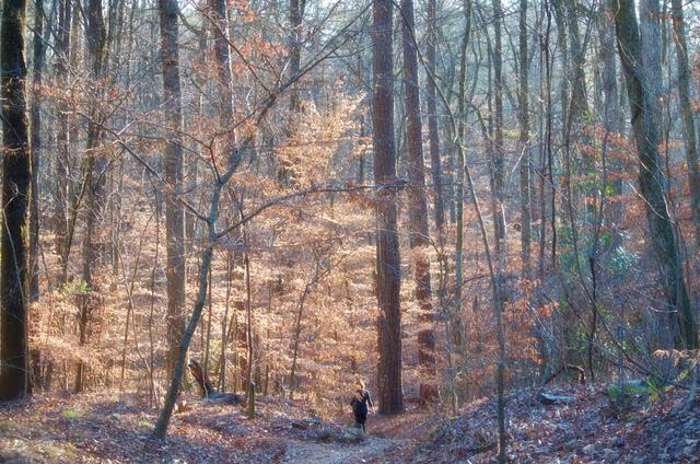 0E172DB9-F5F1-472A-8E37-C55D1A8ACDBE