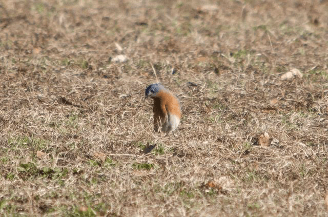 262C22F5-BE04-4EB1-A635-6CF17DCECD28