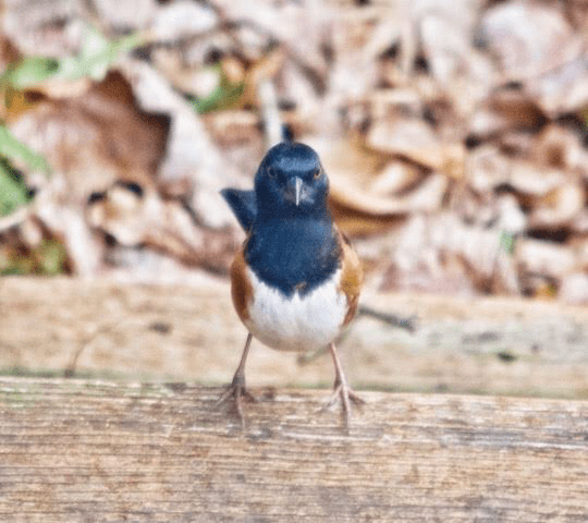 88F4274E-9A8C-40CF-82B3-9F544E5B5E06