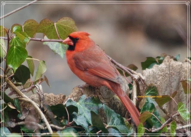 A99D1CCF-A0BB-4ABC-96F8-70835873863F