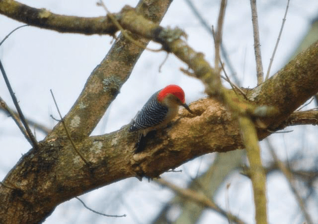 C82FDC59-70D0-4633-8967-7BCCE81E2AB7