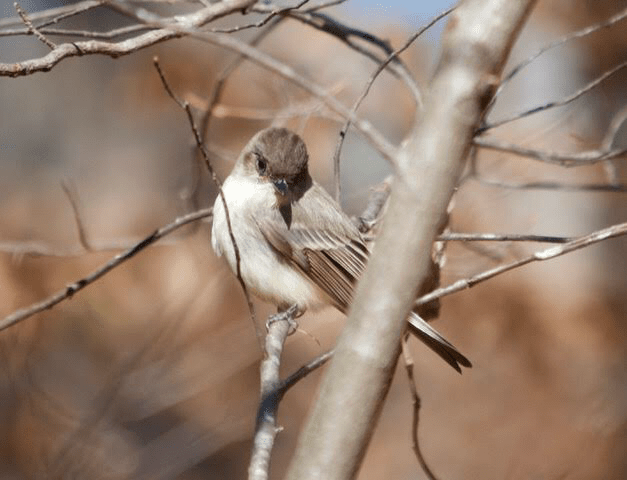 Shines to Bless…#SoCS #JusJoJan