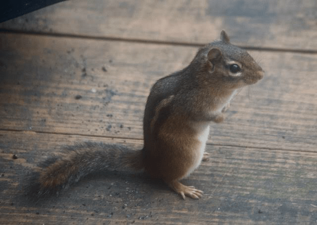 02D8F388-872C-4985-A30C-92968522AFC3