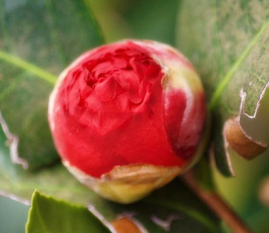 31DE8CFC-98DC-46A9-AF6E-3780D9403DF4