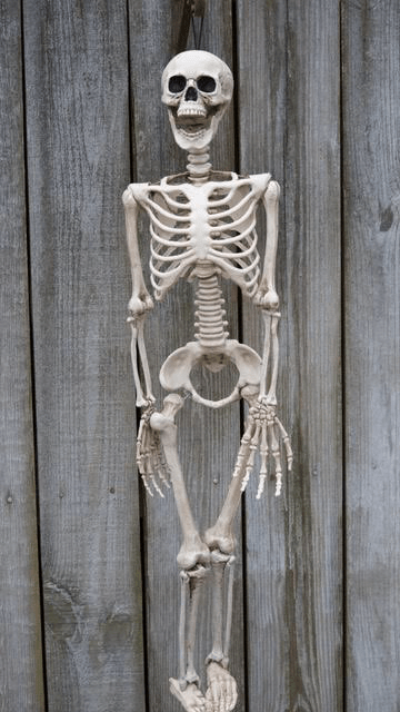 40F7D7AB-1171-44CE-99C7-4E46FE5325F3