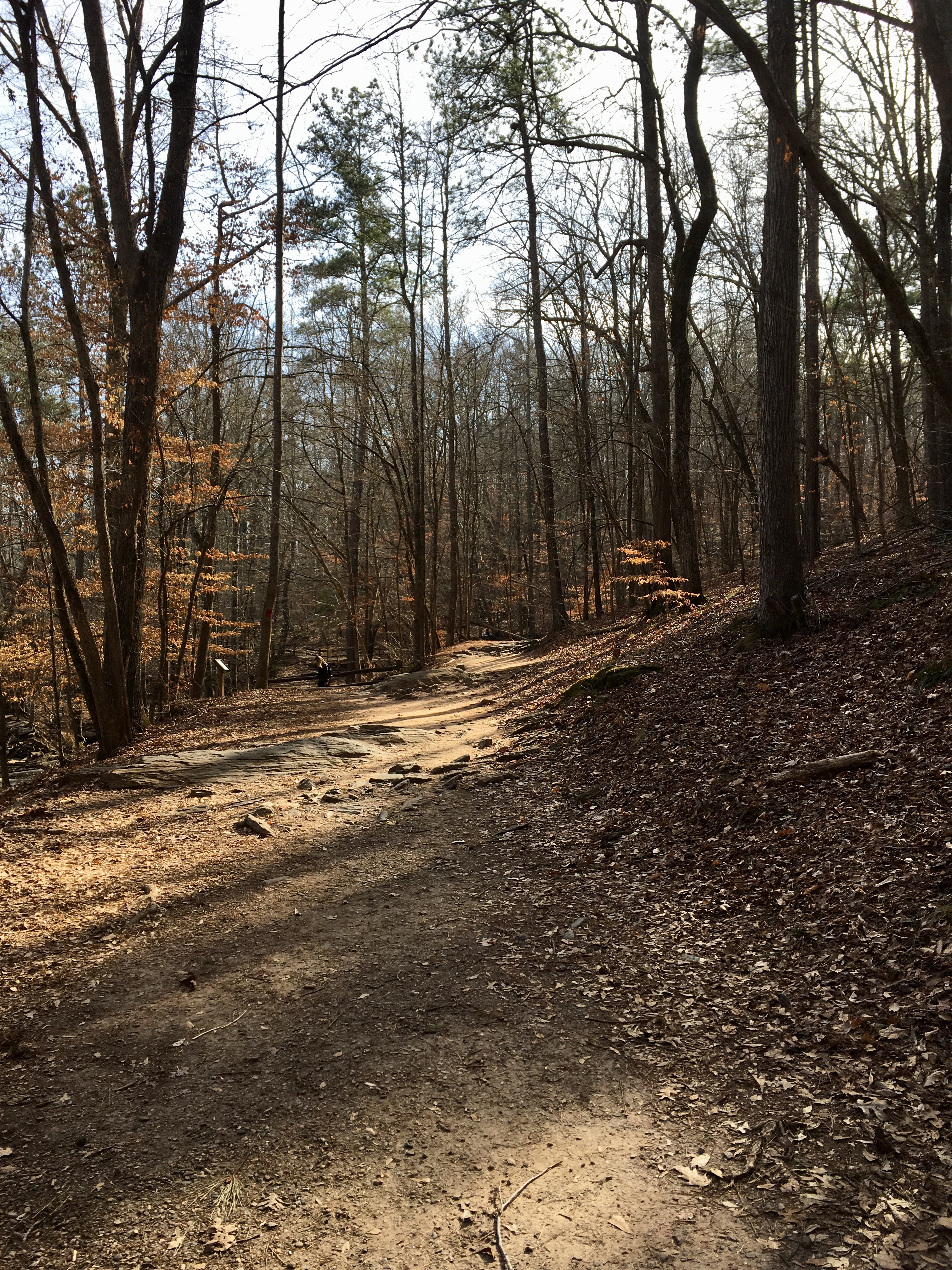 4AA0354A-9D8F-4997-A650-0186BC8BAD24