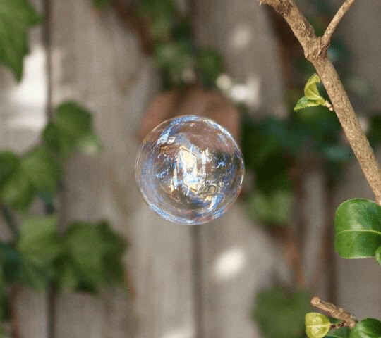 7784BDE2-66C4-4564-8CCE-26E857697F0E