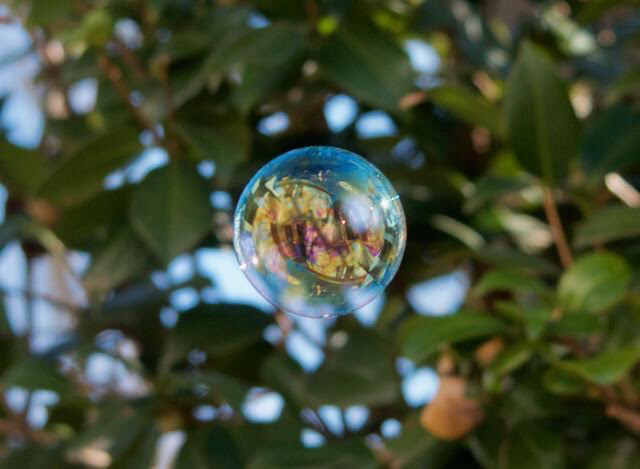 855FC86C-200A-49CE-8B7E-E964D91DB986