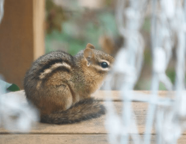 A44B3E3E-8B1F-4A20-BFF2-8FFFC0C3815F