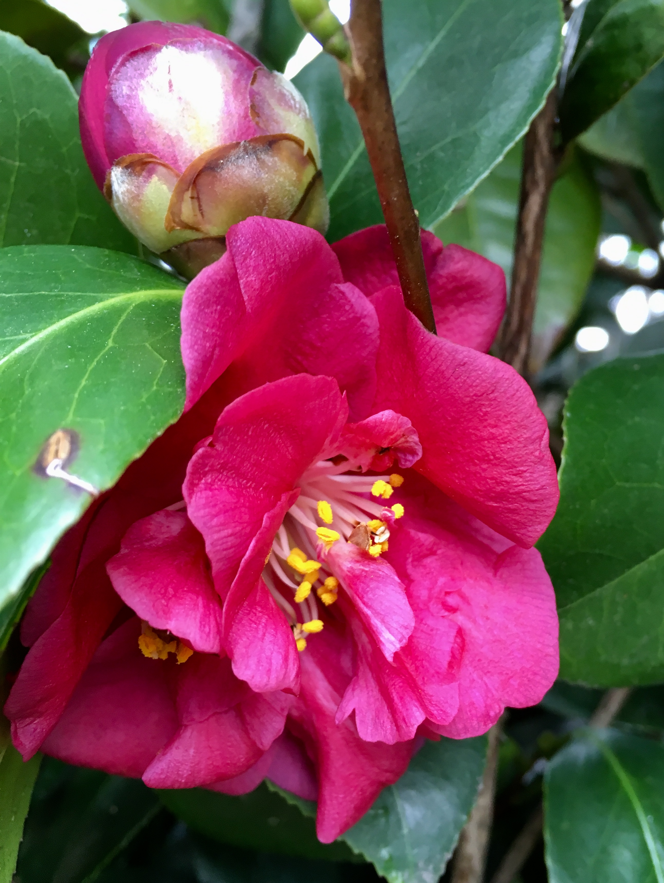 B75FBC43-FF9A-4F17-985E-E917A0F391C9