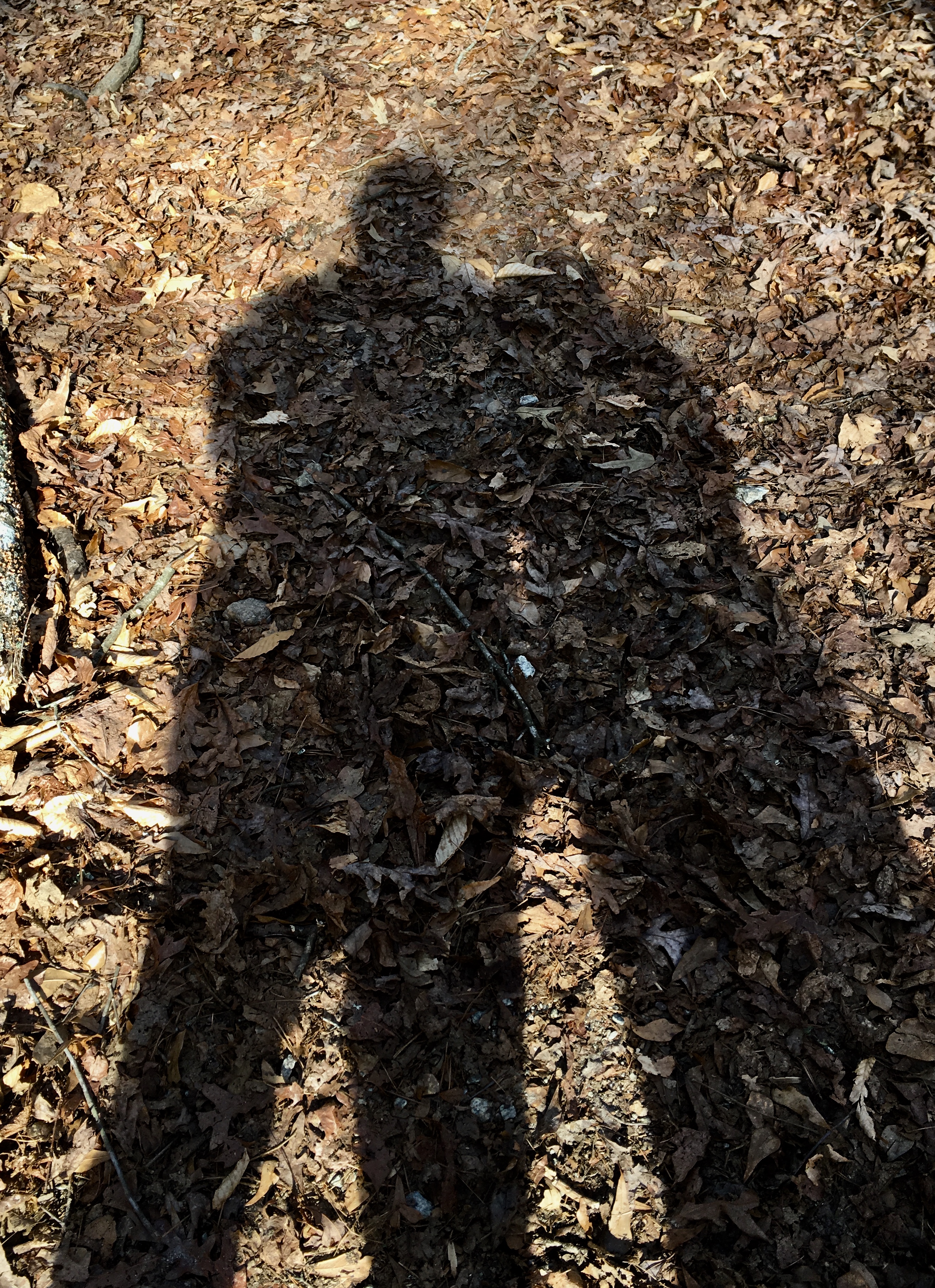 C158428D-D648-432D-B229-6B7B801F2A33