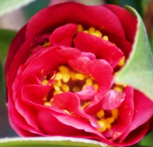 EBDC8167-578D-421A-8FF5-B52457CEB3BD