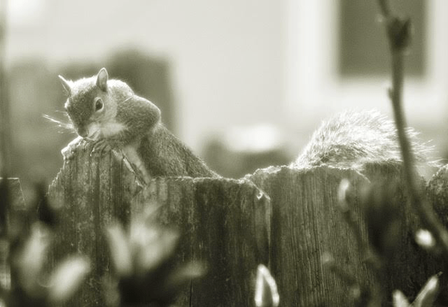 016EBCA7-5825-4408-B6B2-0C63FE990A27