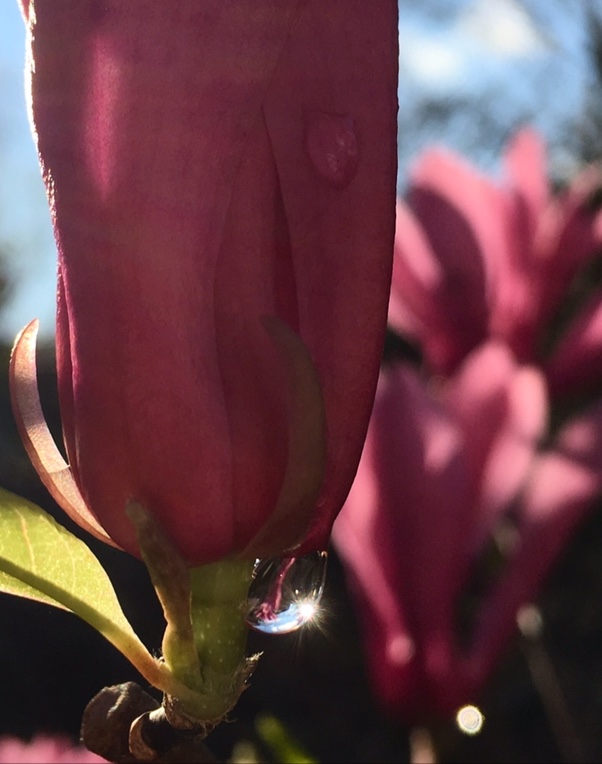 044B2E70-ABBE-4E51-841F-3C8B3391188D