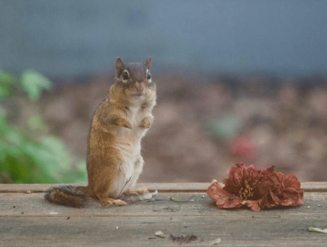 0D14B98F-4F52-4EEC-94E0-A0E50D7A7942