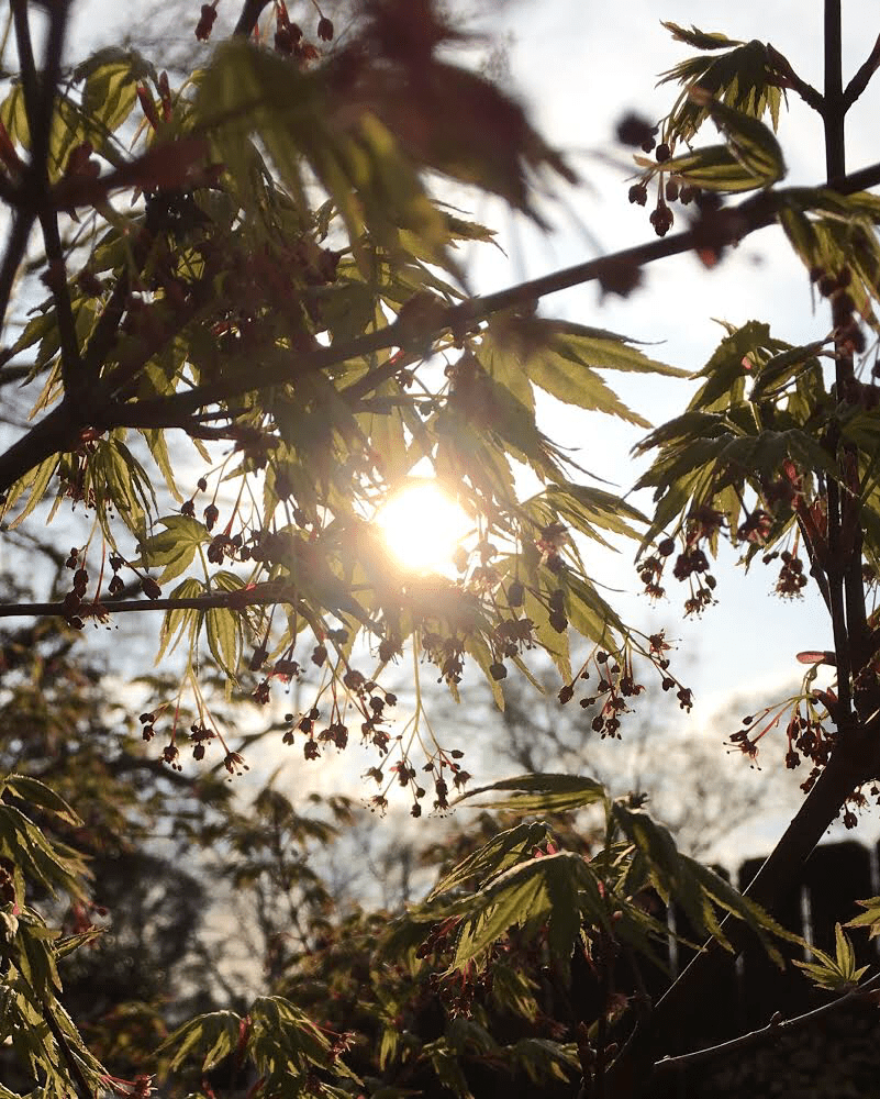 54E1BAA1-10BA-4D81-A9E2-121F85C802DE