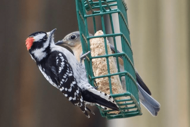 9119939A-84C0-4D1B-8FF2-23D000F7A4F4