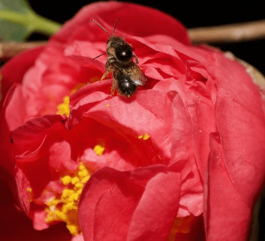 Day to Day/#ThursdayDoors