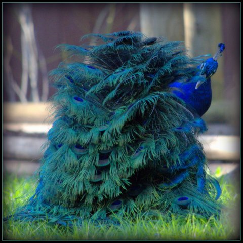 A938219E-1898-43B8-809C-8217D0EF1DB6