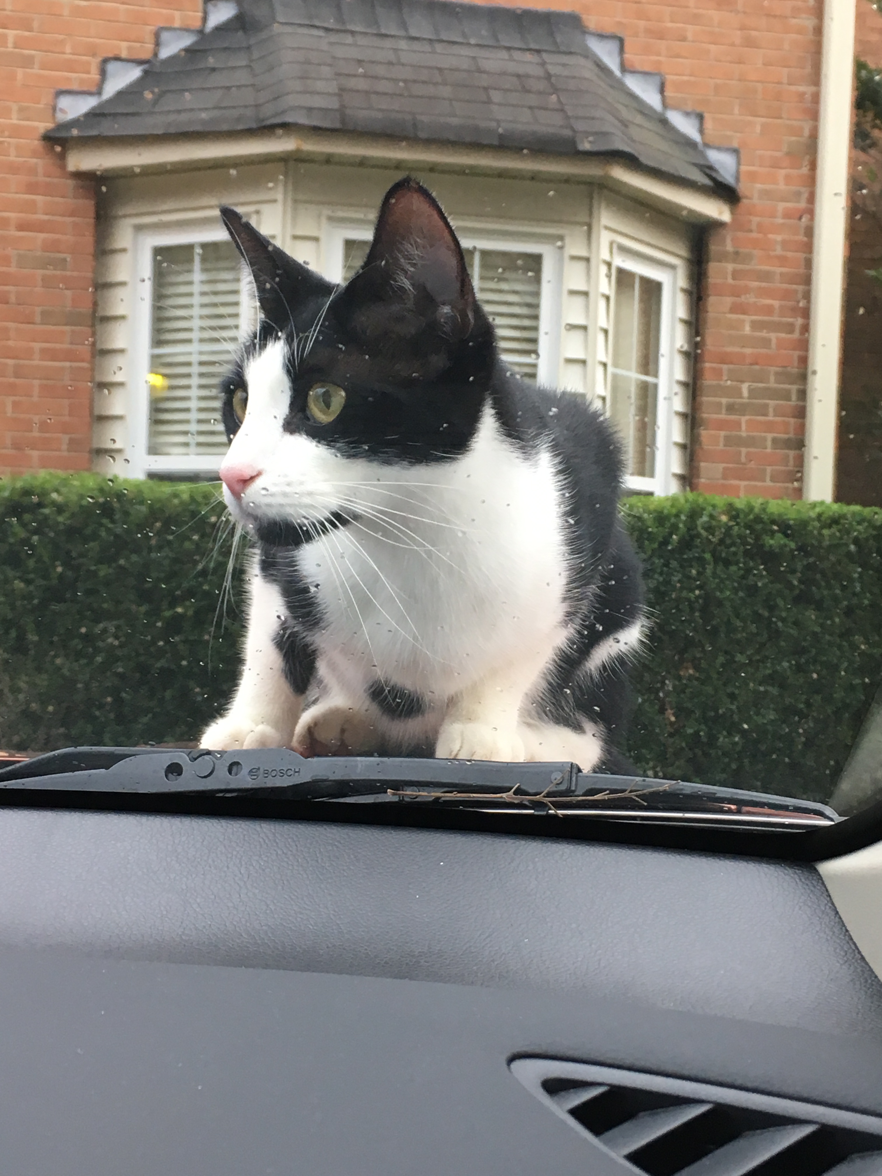 ABBA745E-38E8-40BD-BA22-7FA5E3C6D74E