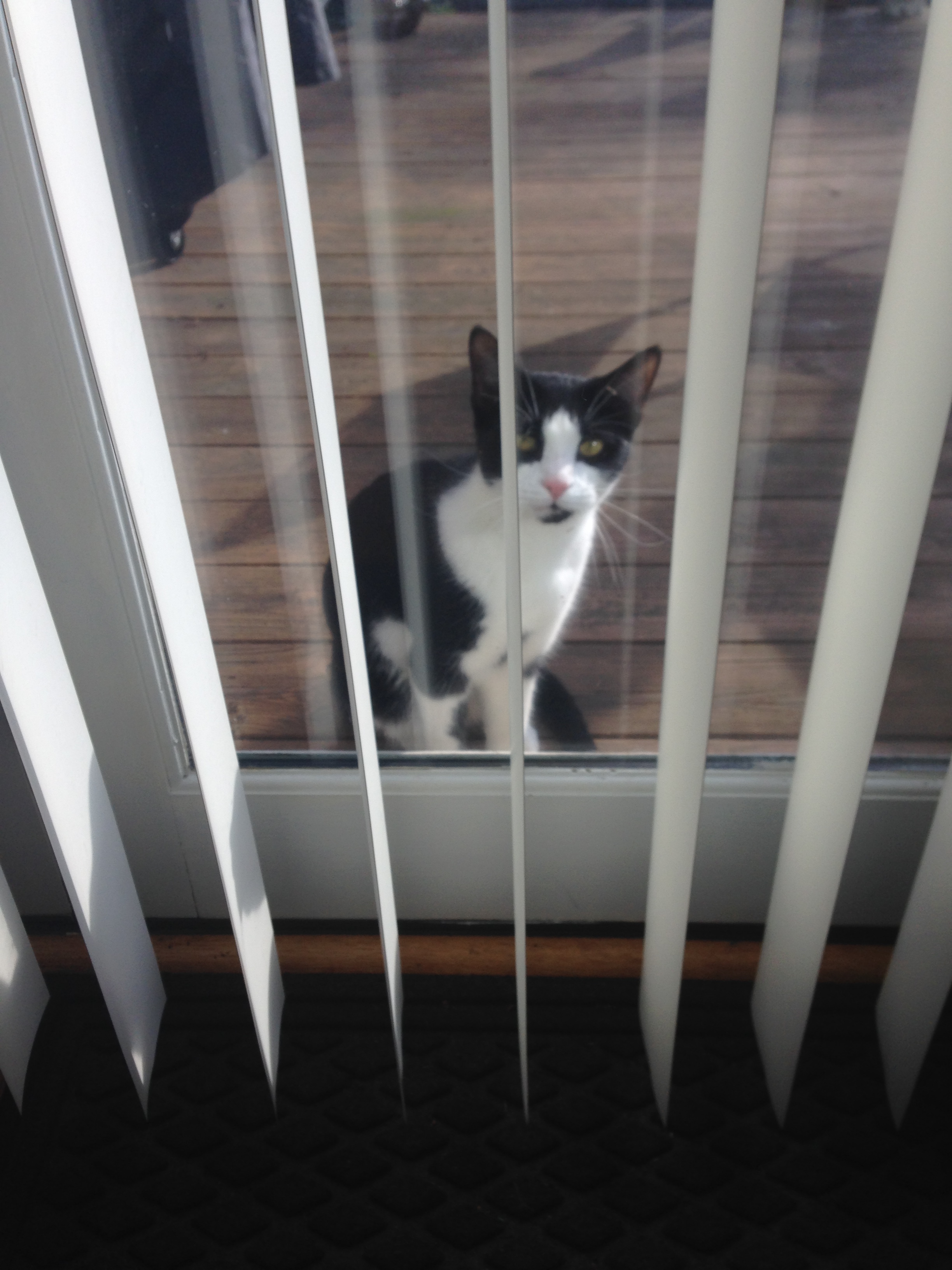 AC472F06-4A49-4624-92BB-F4BBFCF54292