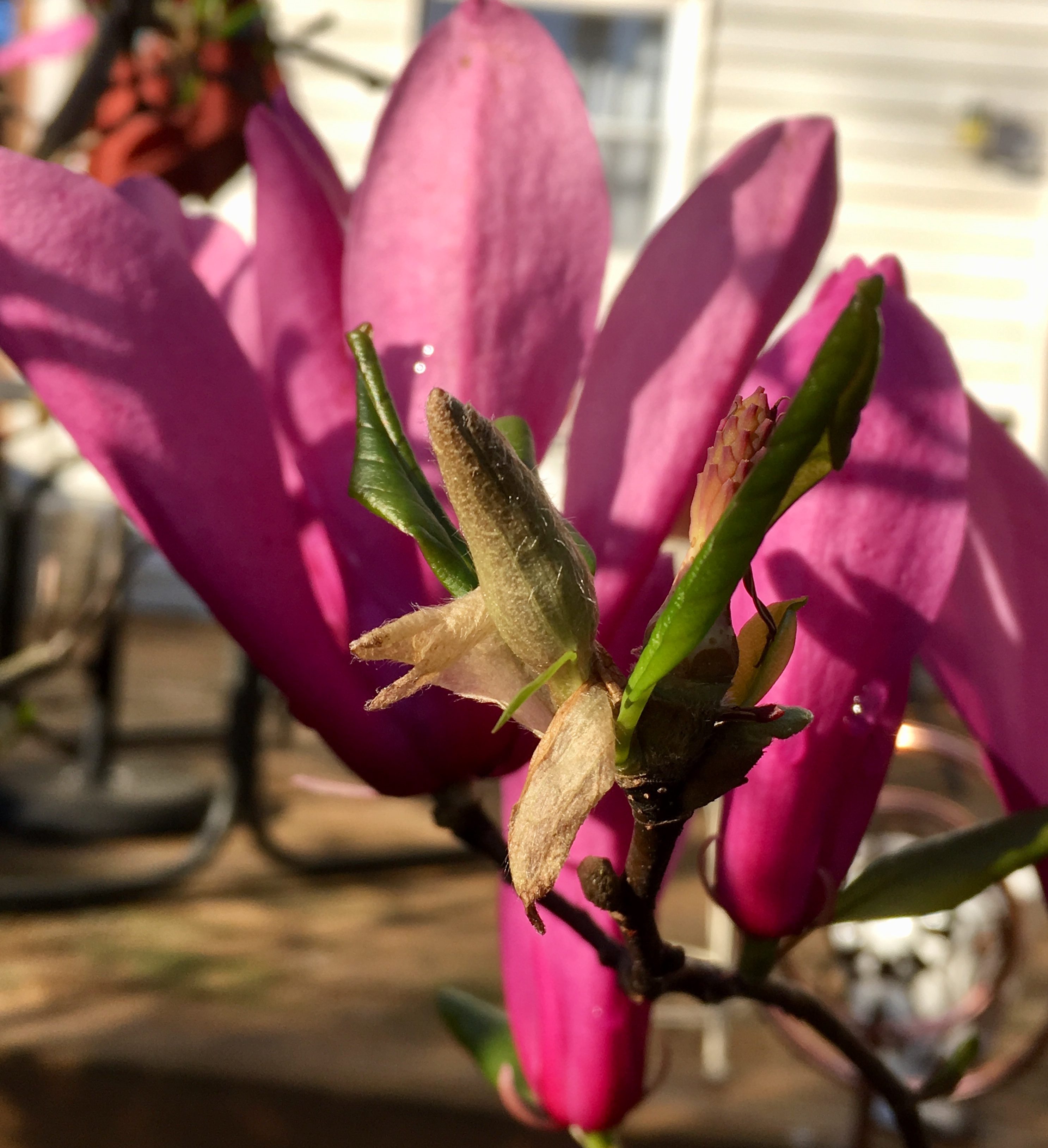 B240E83F-3731-4995-990F-5A23AA9C338D