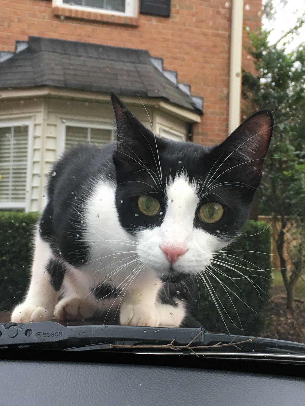 Beautiful/#Free48-So Far/#SoCs