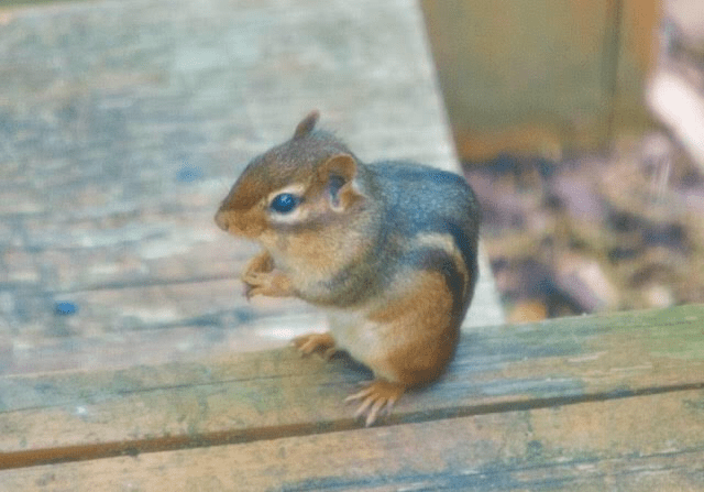 0EAB7447-71F8-4B1F-9348-DB5AE2A1DC7A