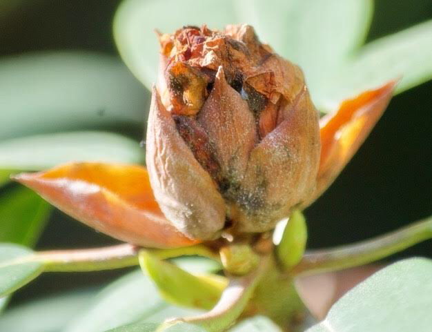 2723CE9C-41F8-4DB7-983A-30E6908FEB6D