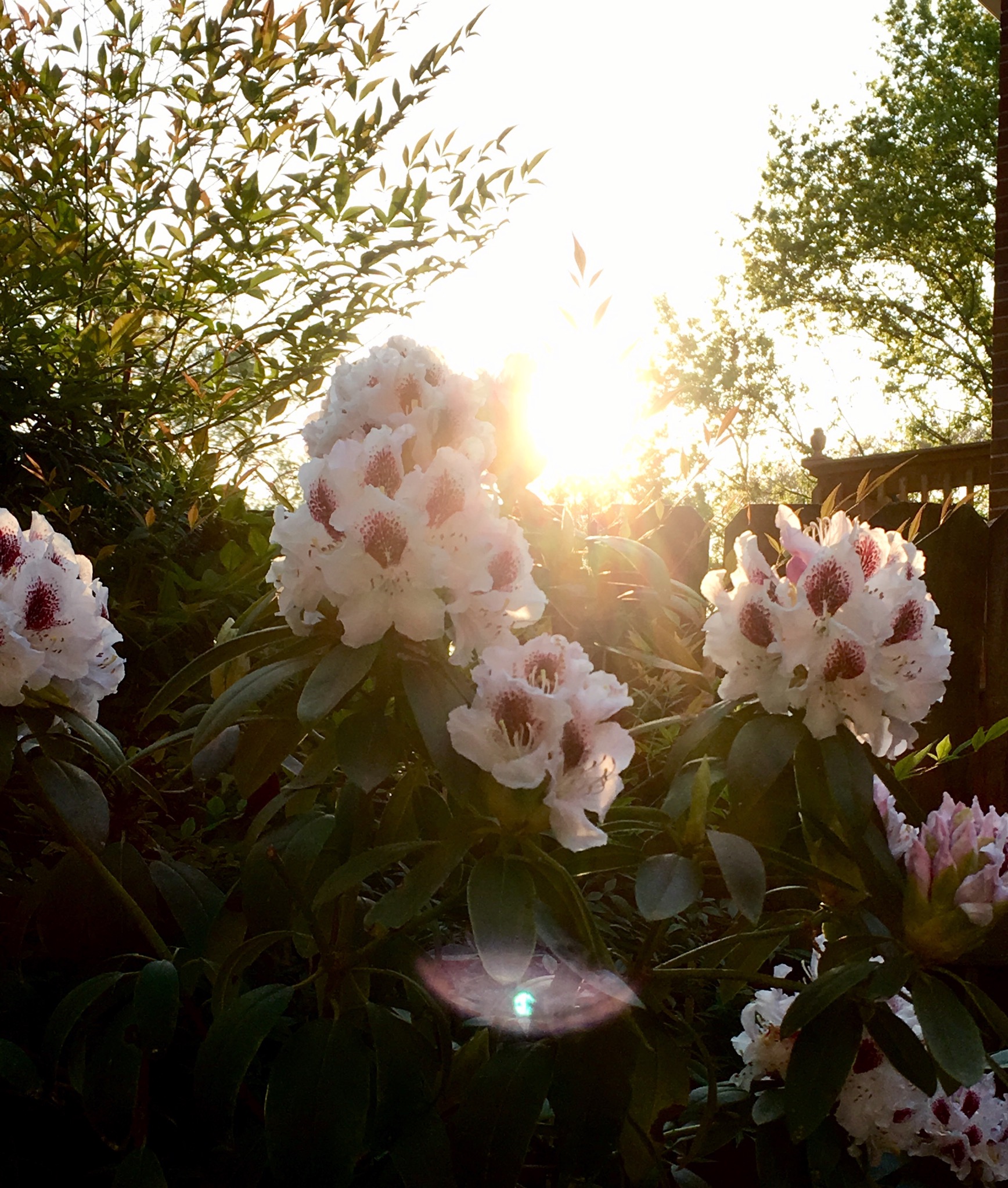 3D53AF29-7F97-47DA-B566-7C4CC3AA0DFB