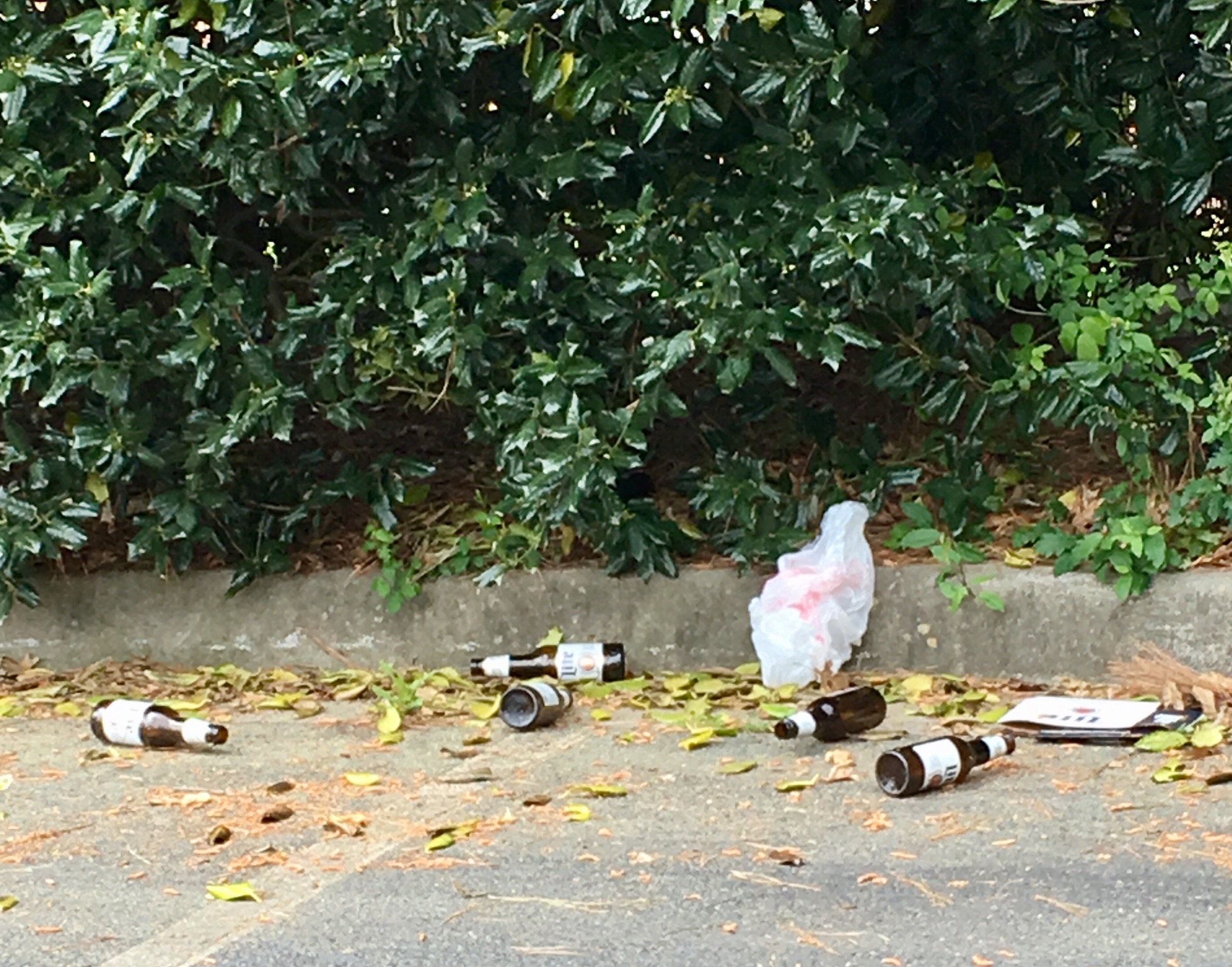 63A48547-9DEF-433A-881A-BD07F42618A9