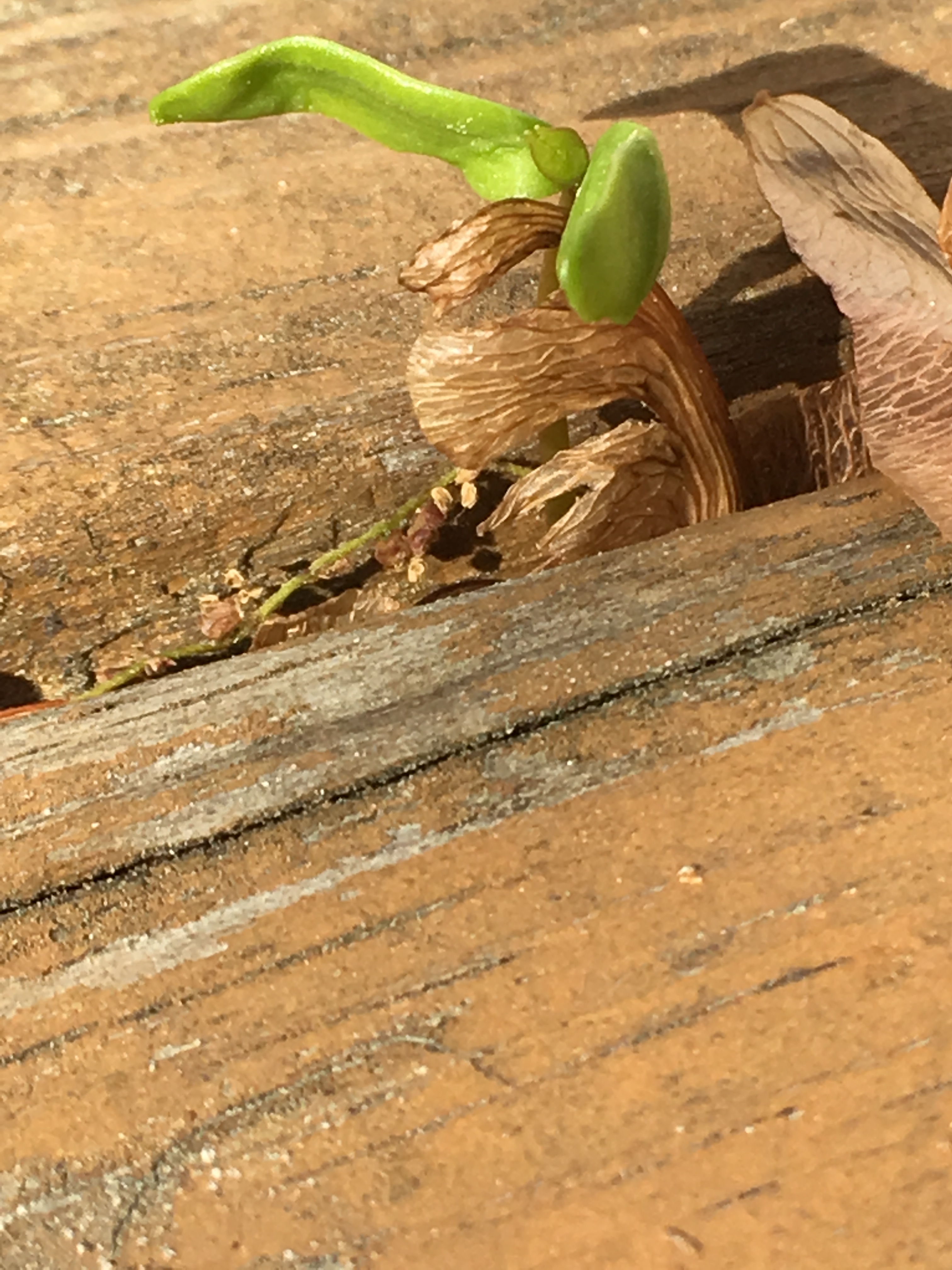 D7ACB2CC-13F4-444F-A7B9-207BCCB8D7BB