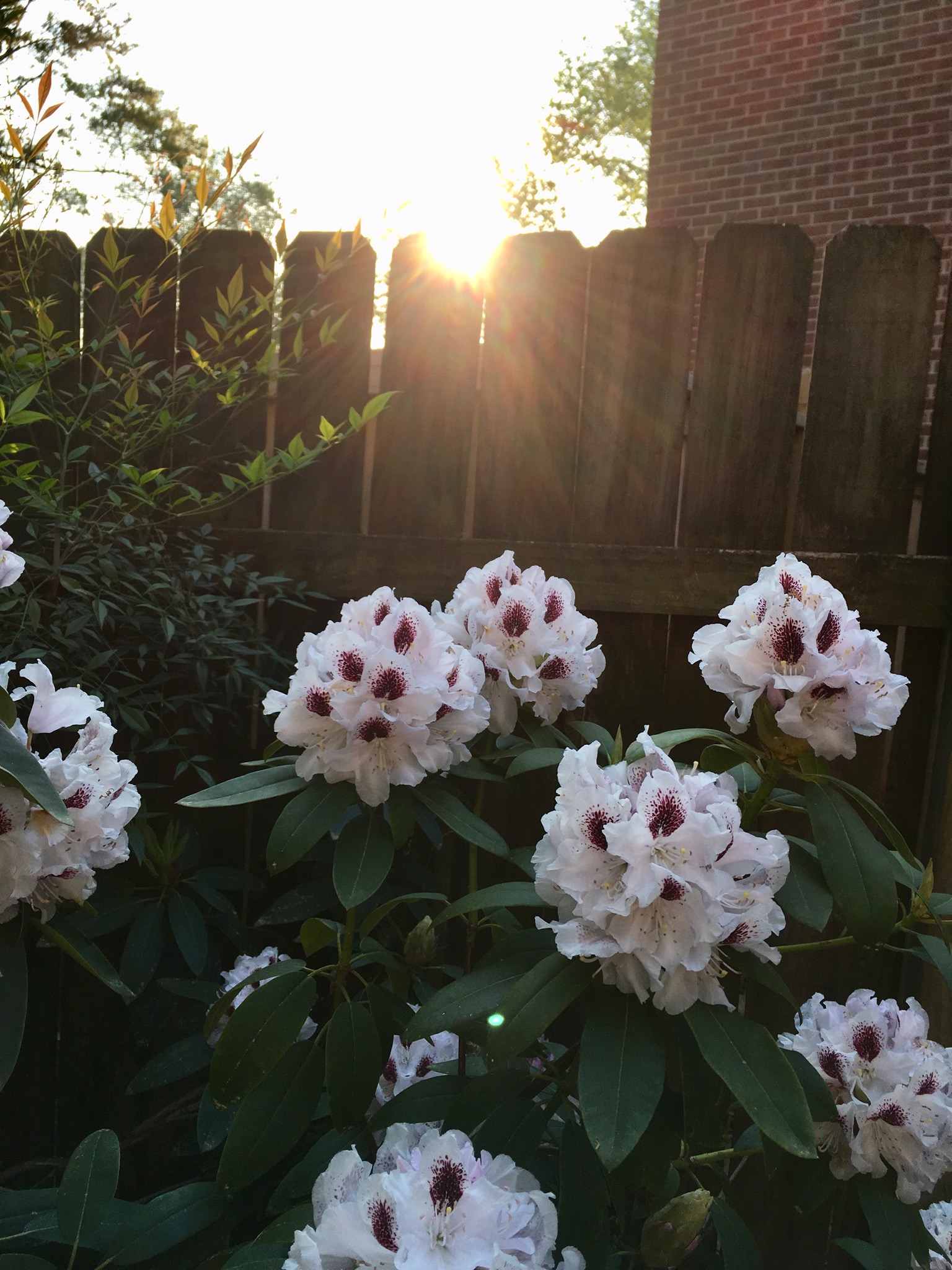 FE4CECDA-62FB-4974-A153-A951367C79AE