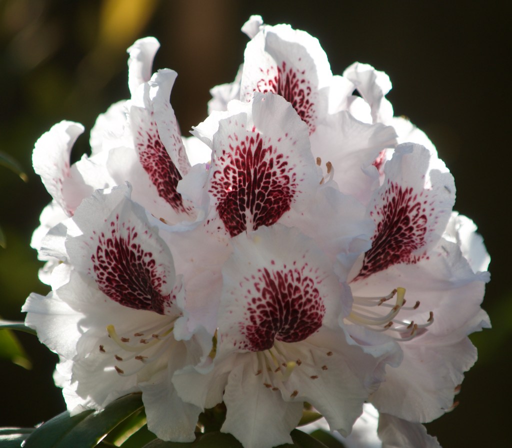 Running Late With Free&nbsp;48