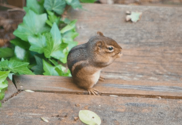 051F1119-BE27-4495-A7EF-B4392AC7FF5E