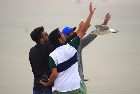 Missed It! #photography