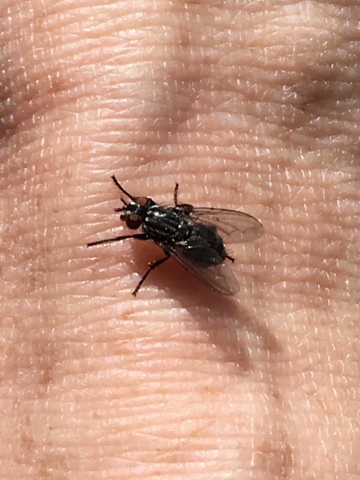 1C68D75E-BFCD-485E-AF8E-921ECD5E6115