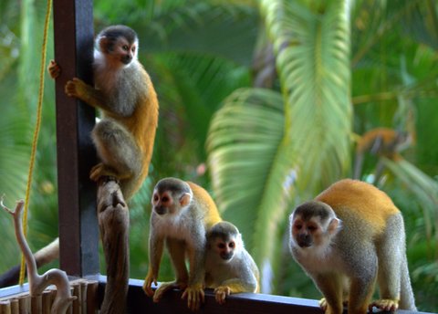 3A682F79-4F77-4AEA-9E16-EE5E9305D422