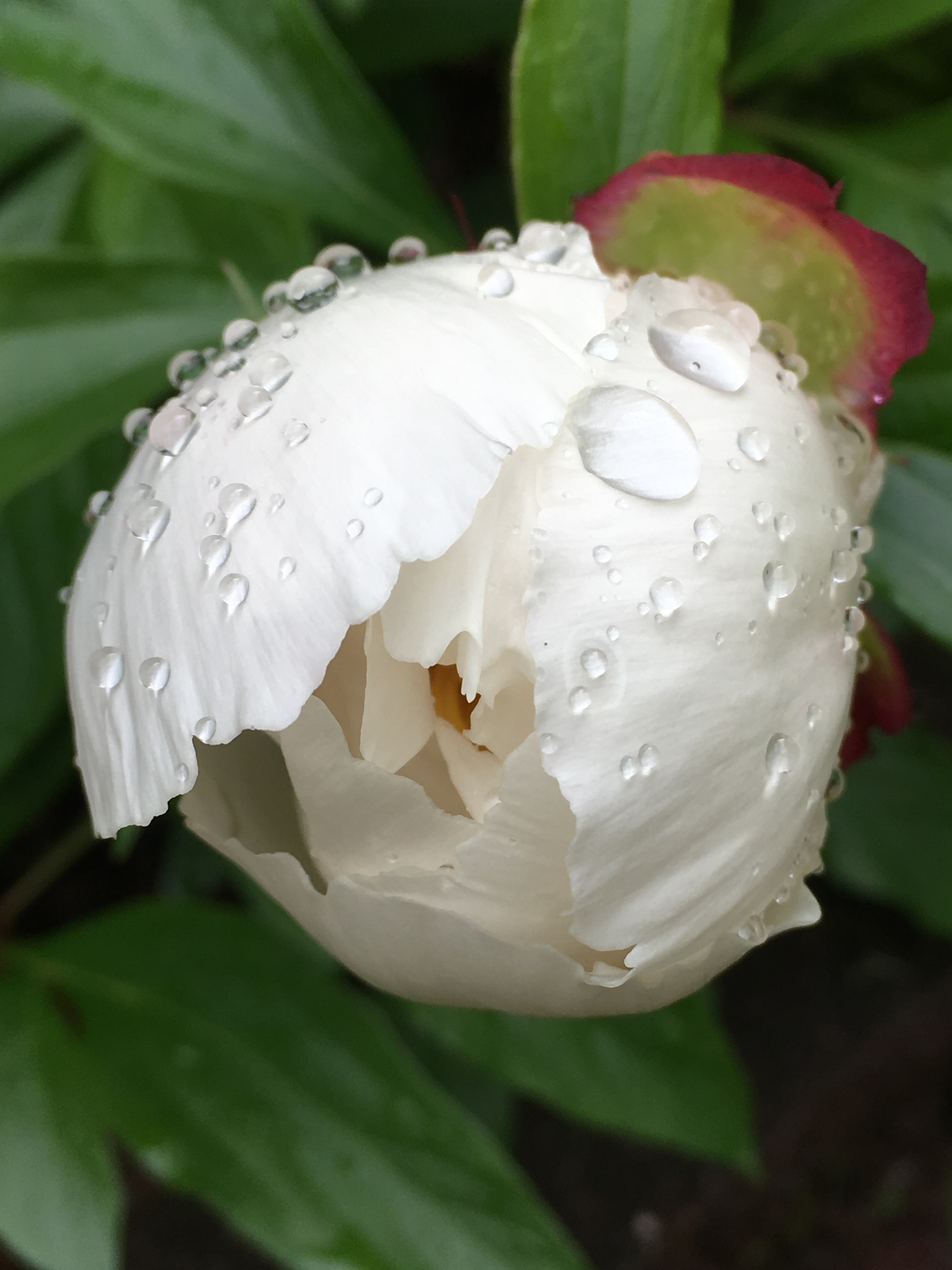 7C4E76ED-A347-4634-AB00-CCE70DDB435E