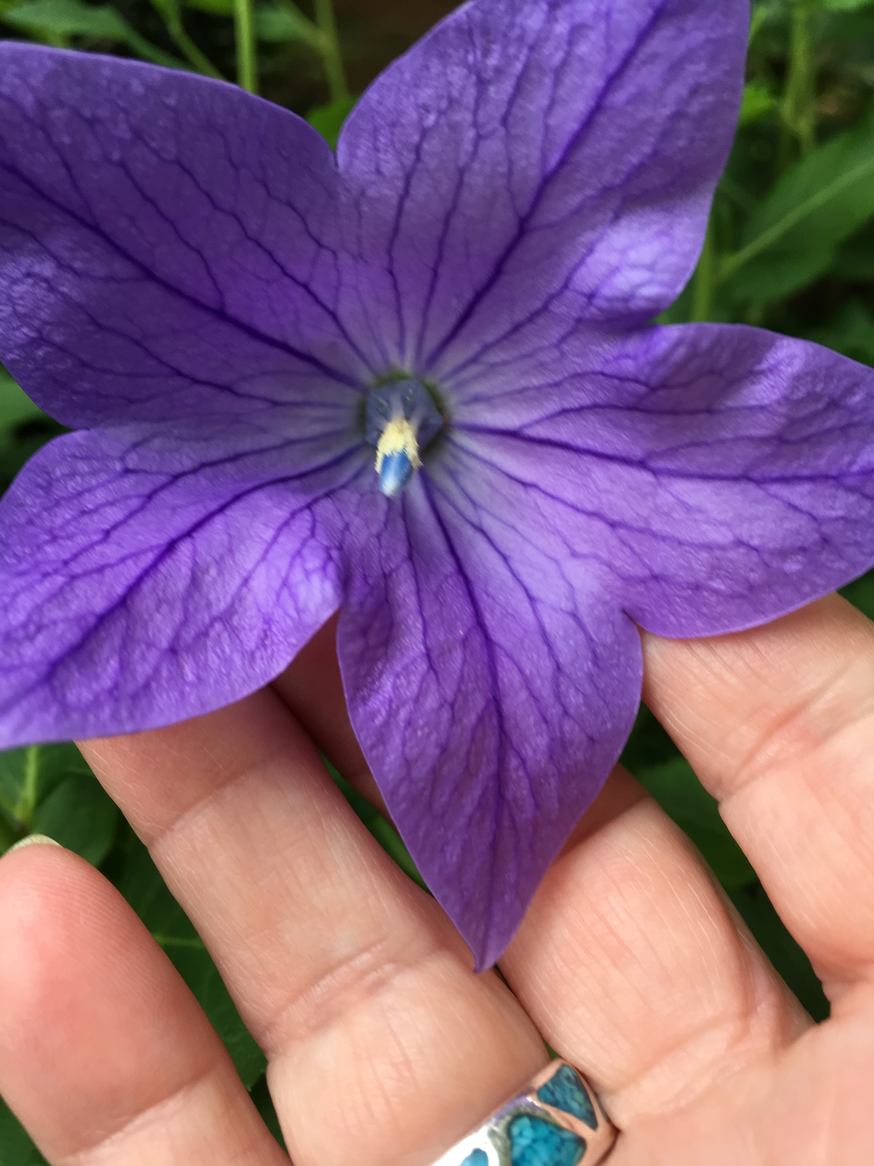 A4DCD6F3-C6EF-4388-991A-1168D9931542