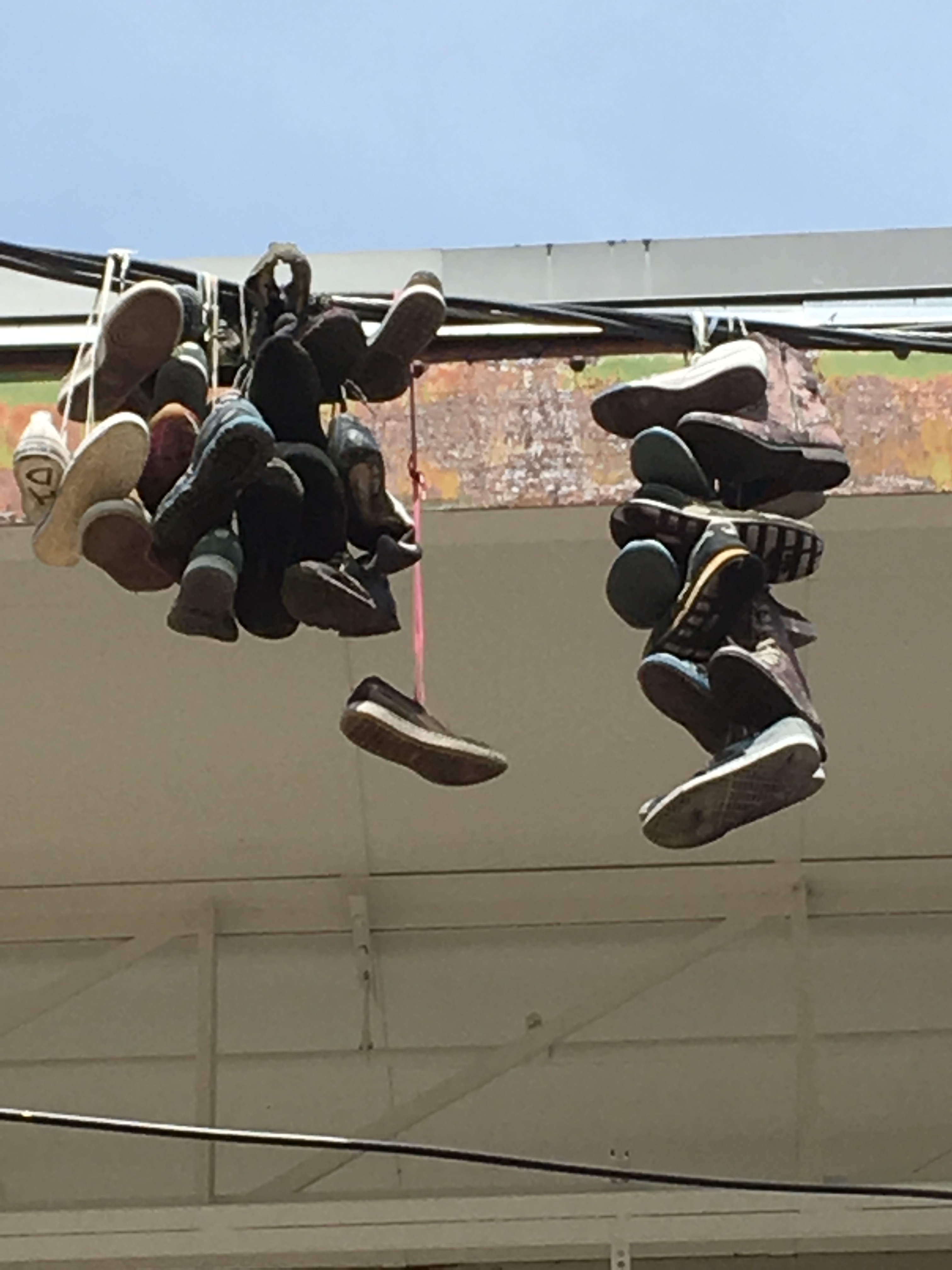 D28EC947-2588-4A07-89B8-B25B08C19803