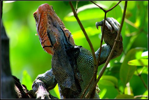 00ABA55D-FC1A-4871-8AD3-A3187D6048F5