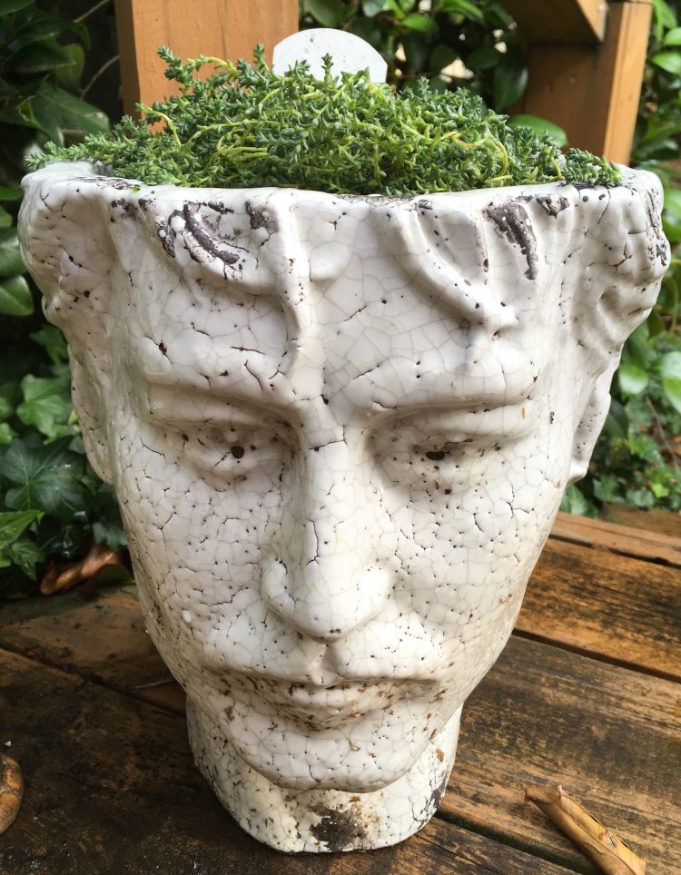 Grin and Share&nbsp;It