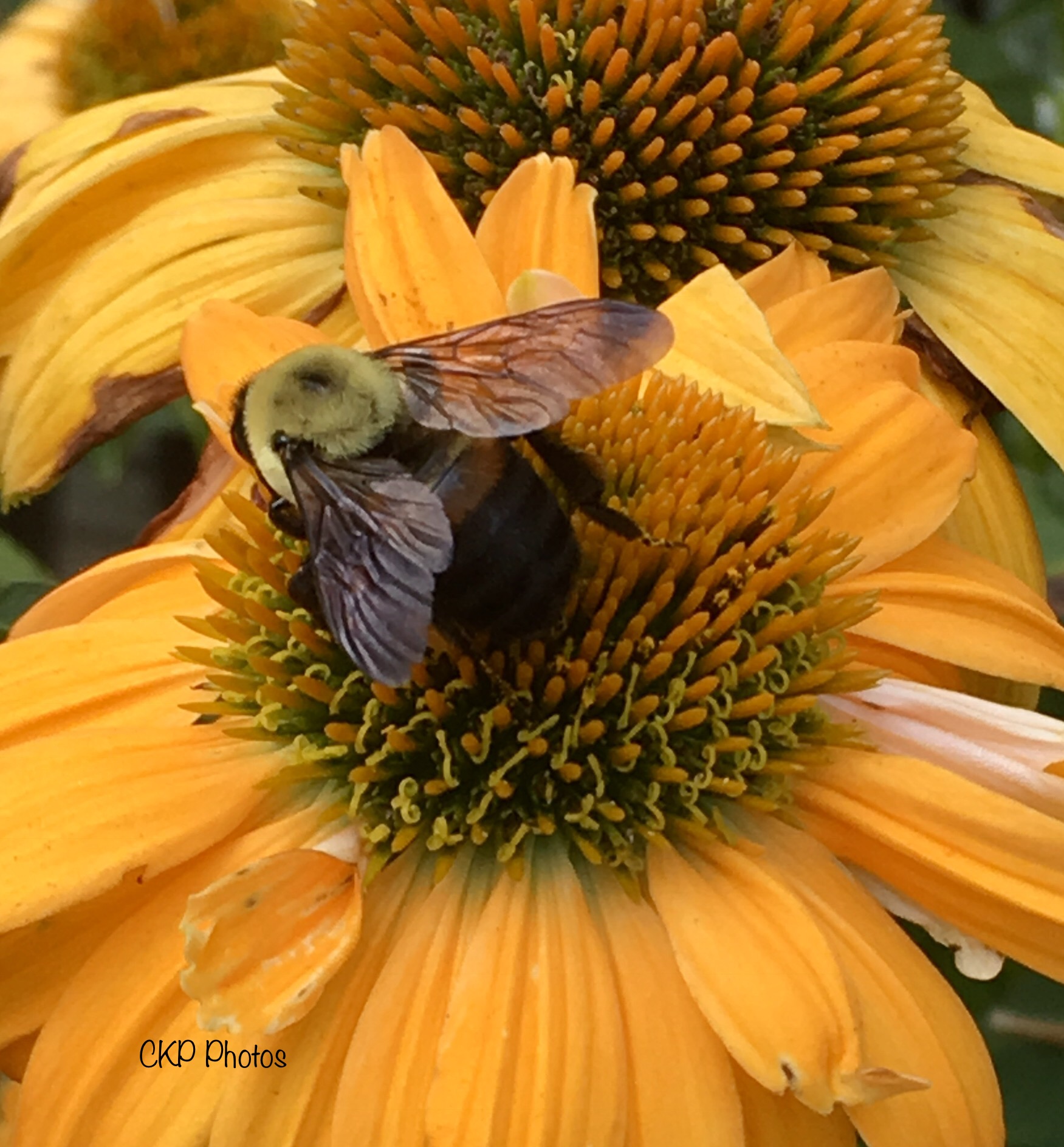 3974ADCD-CA38-4D71-8AB6-262B0A85DCDB