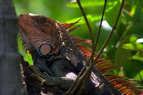 460ED885-FF2B-451A-878C-31637E26E877