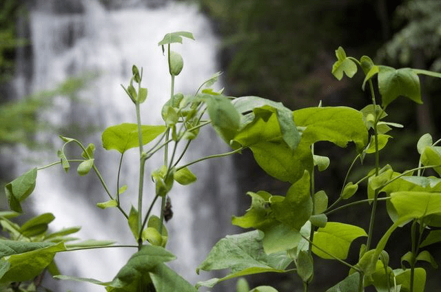 Adjust Your View/#1LinerWeds