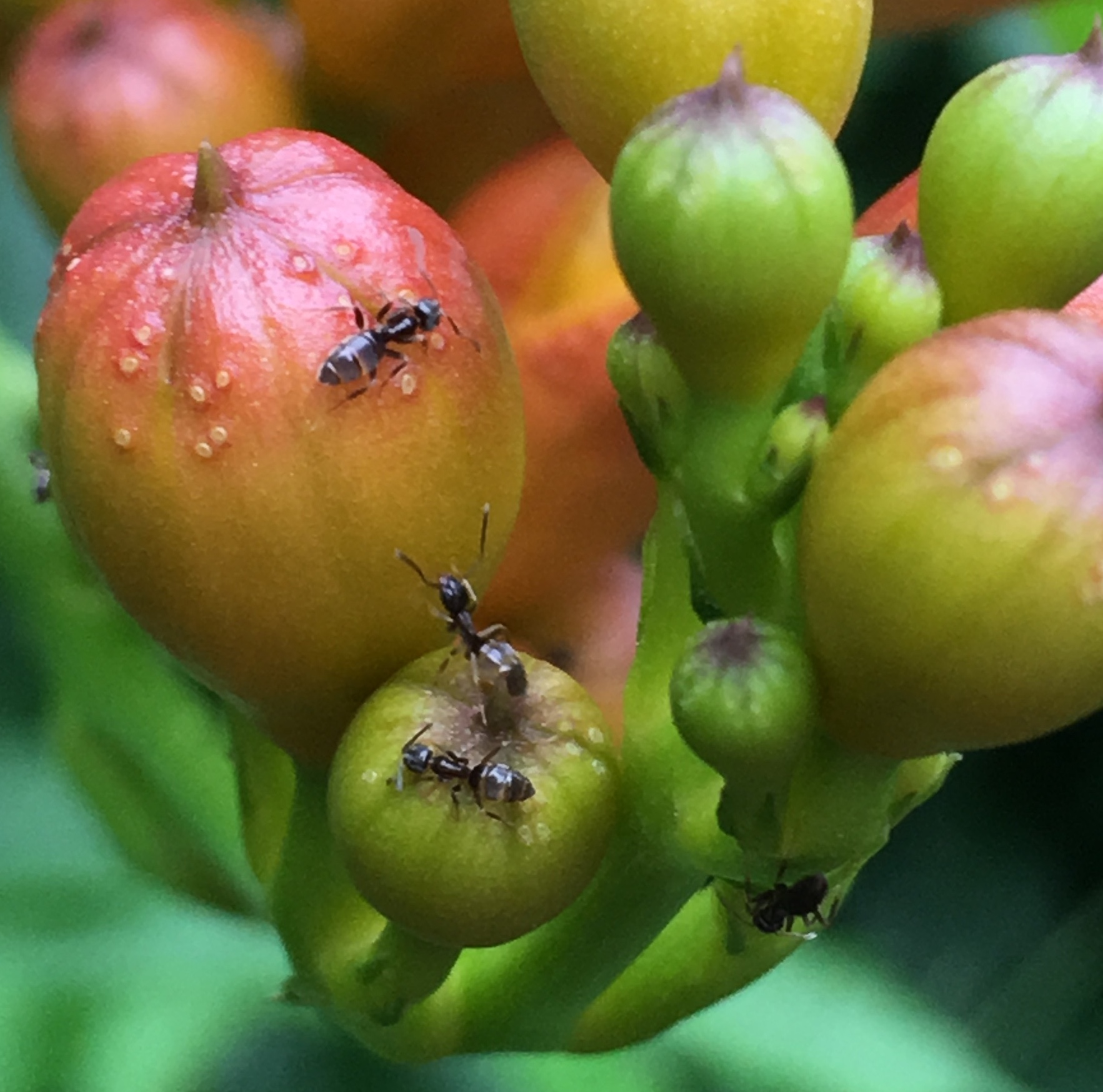 E4AD3A6A-BDB3-4A6B-B444-757AC89CC50F