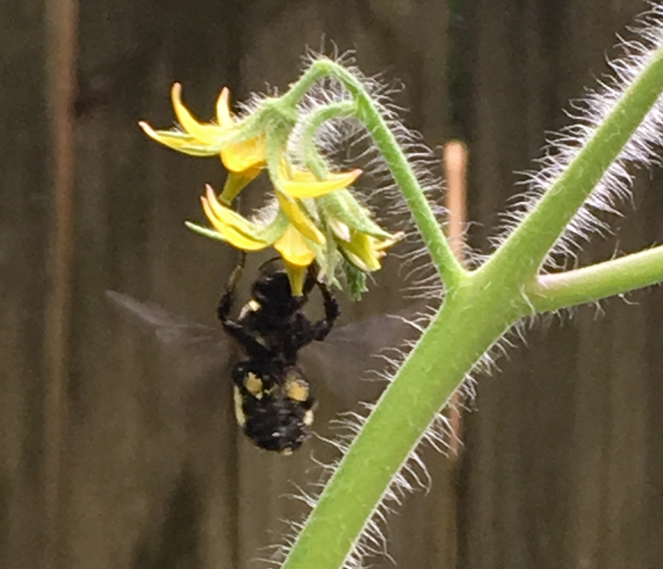 F8AA74E8-93EE-42DC-A7AB-4DE72AAE5272