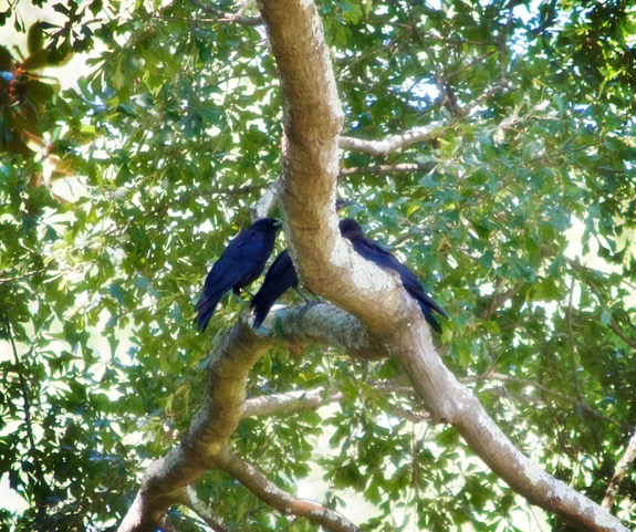 11FA7D67-D242-4175-AB3D-C5860605E1CB