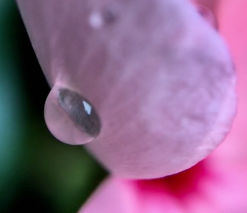 23BDF061-4538-4611-A7E8-244A44DC99A2